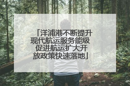 洋浦港不断提升现代航运服务能级 促进航运扩大开放政策快速落地