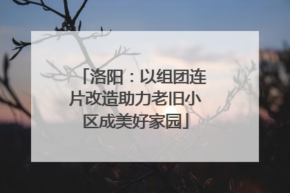 洛阳：以组团连片改造助力老旧小区成美好家园