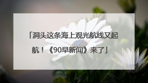 洞头这条海上观光航线又起航！《90早新闻》来了