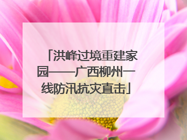 洪峰过境重建家园——广西柳州一线防汛抗灾直击