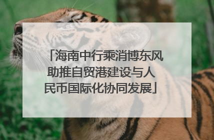 海南中行乘消博东风 助推自贸港建设与人民币国际化协同发展