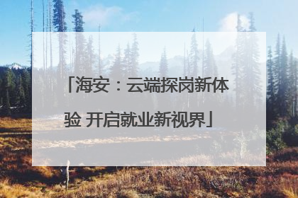 海安：云端探岗新体验 开启就业新视界
