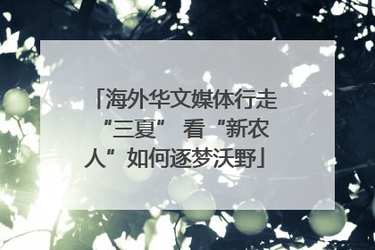 海外华文媒体行走“三夏” 看“新农人”如何逐梦沃野