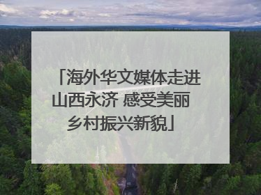 海外华文媒体走进山西永济 感受美丽乡村振兴新貌
