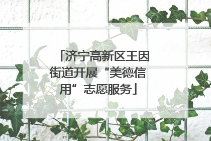 济宁高新区王因街道开展“美德信用”志愿服务