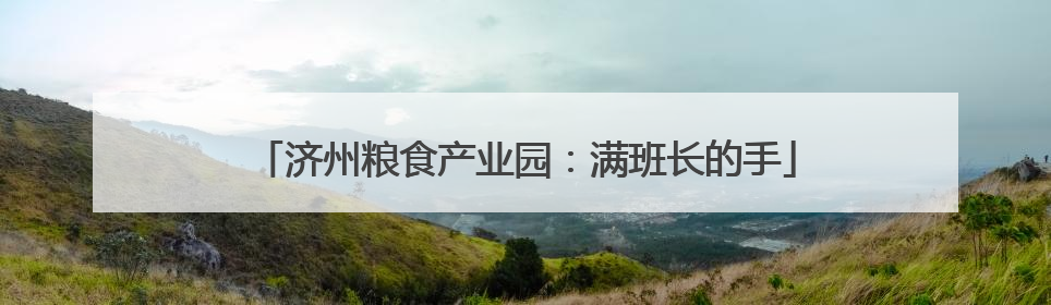 济州粮食产业园：满班长的手
