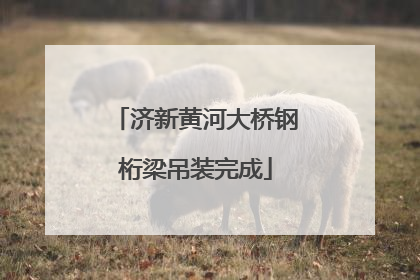 济新黄河大桥钢桁梁吊装完成