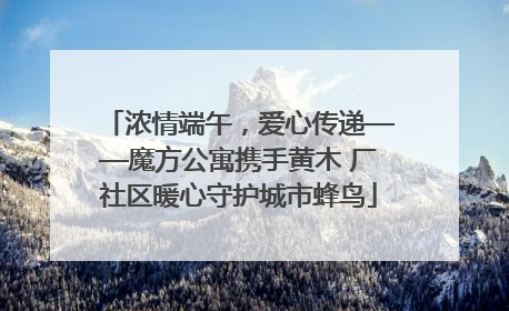 浓情端午，爱心传递——魔方公寓携手黄木 厂社区暖心守护城市蜂鸟