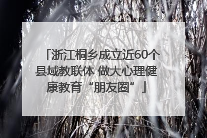 浙江桐乡成立近60个县域教联体 做大心理健康教育“朋友圈”