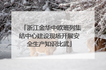 浙江金华中欧班列集结中心建设现场开展安全生产知识比武