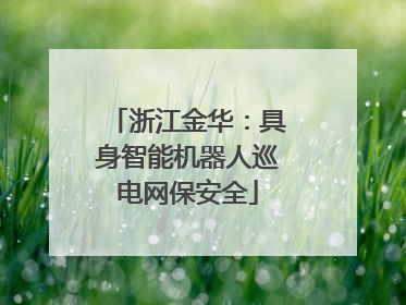 浙江金华：具身智能机器人巡电网保安全
