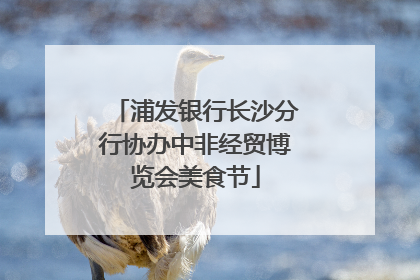 浦发银行长沙分行协办中非经贸博览会美食节