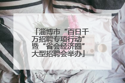 淄博市“百日千万招聘专项行动”暨“省会经济圈”大型招聘会举办
