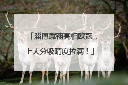 淄博蹴鞠亮相欧冠，上大分吸睛度拉满！