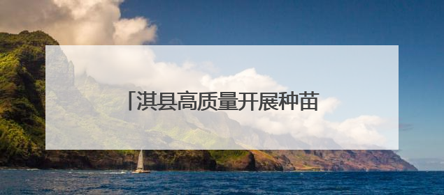 淇县高质量开展种苗管理工作 夯实生态文明建设“绿色根基”