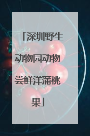 深圳野生动物园动物尝鲜洋蒲桃果