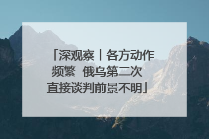 深观察丨各方动作频繁  俄乌第二次直接谈判前景不明
