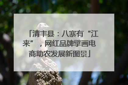 清丰县：八寨有“江来”，网红品牌擘画电商助农发展新图景