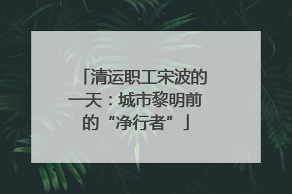 清运职工宋波的一天：城市黎明前的“净行者”