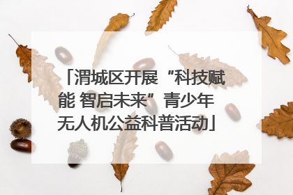 渭城区开展“科技赋能 智启未来”青少年无人机公益科普活动