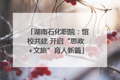湖南石化职院：馆校共建 开启“思政+文旅”育人新篇