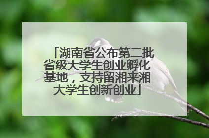 湖南省公布第二批省级大学生创业孵化基地，支持留湘来湘大学生创新创业