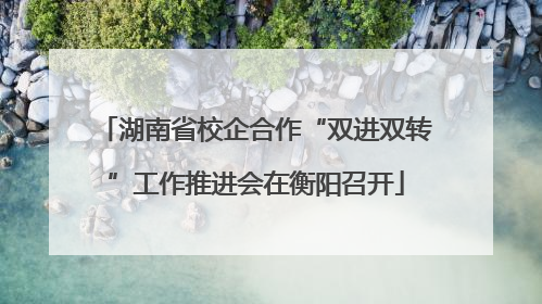 湖南省校企合作“双进双转”工作推进会在衡阳召开