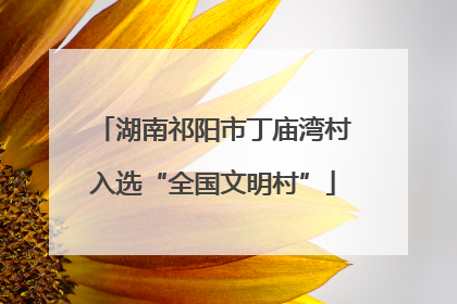湖南祁阳市丁庙湾村入选“全国文明村”