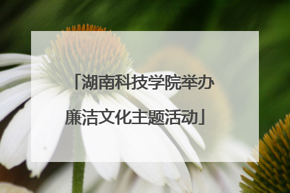 湖南科技学院举办廉洁文化主题活动
