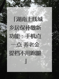 湖南上线城乡居保补缴新功能：手机点一点 养老金提档不用跑腿
