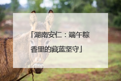 湖南安仁：端午粽香里的藏蓝坚守