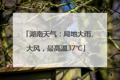 湖南天气：局地大雨、大风，最高温37℃