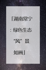 湖南常宁：绿色生态 “风”景如画