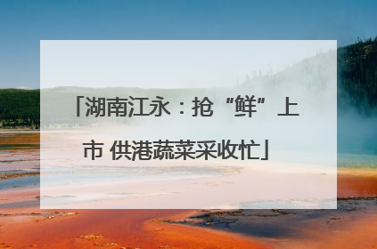 湖南江永：抢“鲜”上市 供港蔬菜采收忙