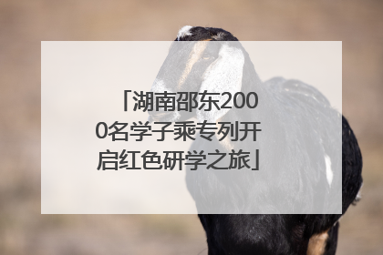 湖南邵东2000名学子乘专列开启红色研学之旅
