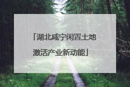 湖北咸宁闲置土地激活产业新动能