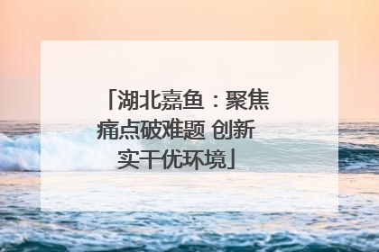 湖北嘉鱼：聚焦痛点破难题 创新实干优环境