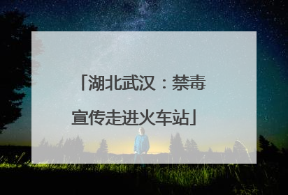 湖北武汉：禁毒宣传走进火车站