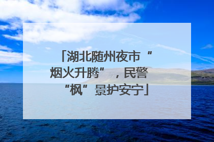 湖北随州夜市“烟火升腾”，民警“枫”景护安宁