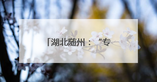 湖北随州：“专用汽车走廊”掀起产业新变革