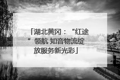 湖北黄冈：“红途”领航 知音物流绽放服务新光彩