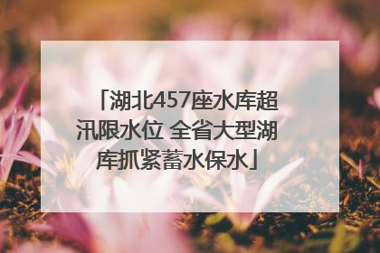 湖北457座水库超汛限水位 全省大型湖库抓紧蓄水保水