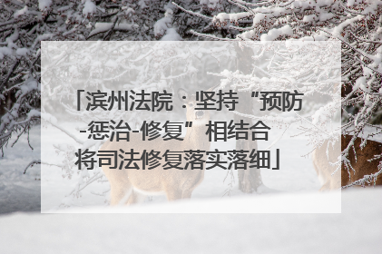 滨州法院：坚持“预防-惩治-修复”相结合 将司法修复落实落细