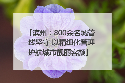 滨州：800余名城管一线坚守 以精细化管理护航城市靓丽容颜
