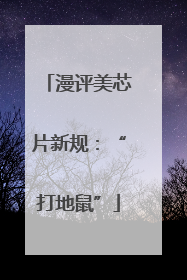 漫评美芯片新规：“打地鼠”