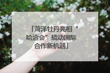 菏泽牡丹亮相“哈洽会”撬动国际合作新机遇