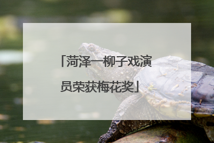 菏泽一柳子戏演员荣获梅花奖