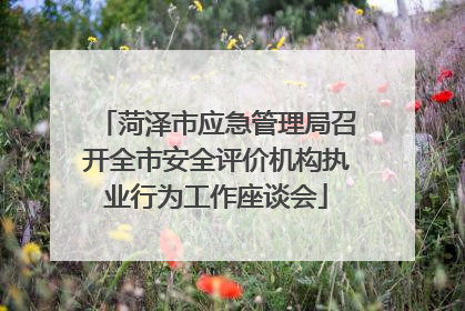 菏泽市应急管理局召开全市安全评价机构执业行为工作座谈会