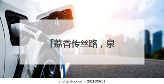 荔香传丝路，泉韵汇长安！从化荔枝文化季西安行开启双城甜蜜对话