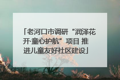 老河口市调研“润泽花开·童心护航”项目 推进儿童友好社区建设